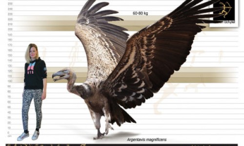 八六五霜能擦脸上吗网- 江苏八六五八六五霜抑菌剂知识,分享八六五霜说明书